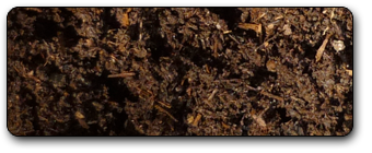 Compost