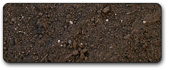 Topsoil